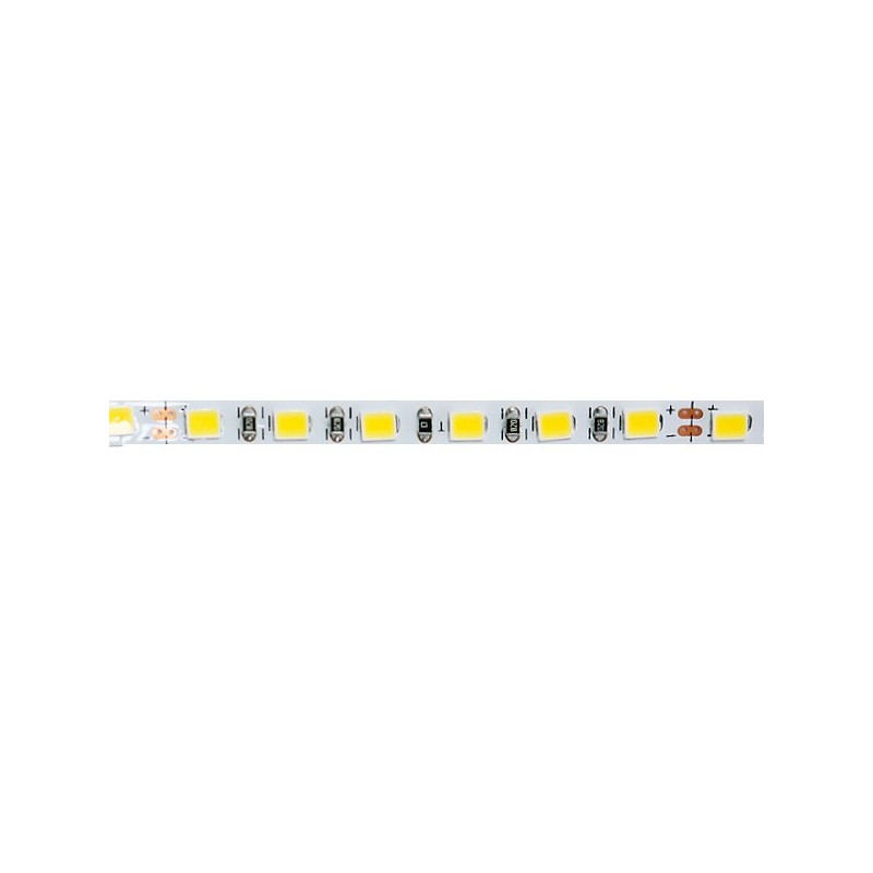 Tira de LED 24V DC SMD2835 Half IP20 (5mm de ancho) - 5 Metros