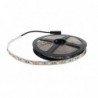 Tira de LED 12V DC SMD5050 IP20 Purple 60 Led/m - 5 Metros