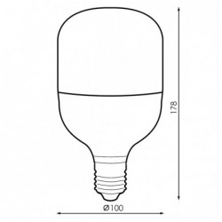 Bombilla LED E27 T100 30W