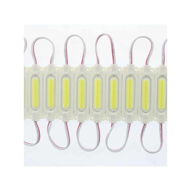 Cadena de 20 Módulos de 1 LED Cob 12V 2W - 6000K